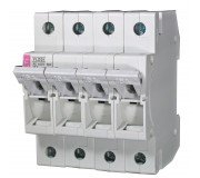 Fuse disconnectors and fuse bases for D0