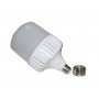 Лампа світлодіодна LED Bulb-T120-40W-E27-E40-220V-6500K-4200L GOLDEN ALUM TNSy