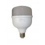 Лампа світлодіодна LED Bulb-T100-30W-E27-220V-6500K-3150L GOLDEN TNSy