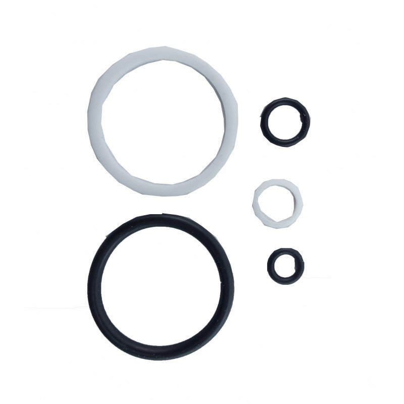 Набір сальників для ремонту YQK-S240-300 TNSy