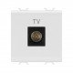 Розетка TV Chorusmart MALE CONN 9.5mm 2M глянцевий білий GEWISS
