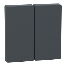 Накладка 2-клавішного вимикача SysD антрацит