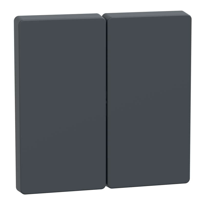 Накладка 2-клавішного вимикача SysD антрацит