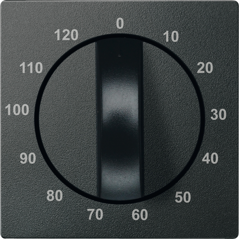 SM НАКЛАДКА Д/М-МУ ТАЙМЕРА 120ХВ, АНТР