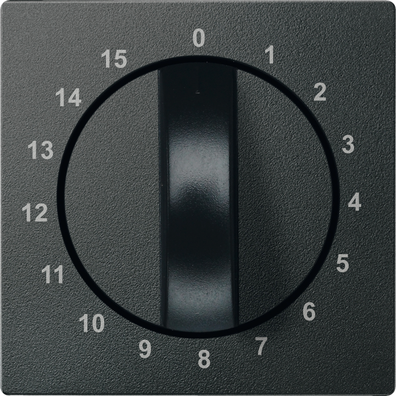 SM НАКЛАДКА Д/М-МУ ТАЙМЕРА 15ХВ, АНТР