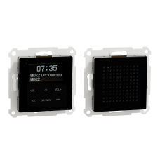 Цифровий радіо модуль Merten System M з FM/DAB/Bluetooth з динаміком чорний