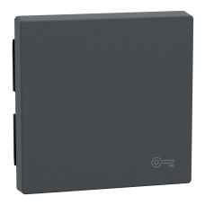 Накладка 1-клавішного вимикача з сим "Ключ" SysM антрацит