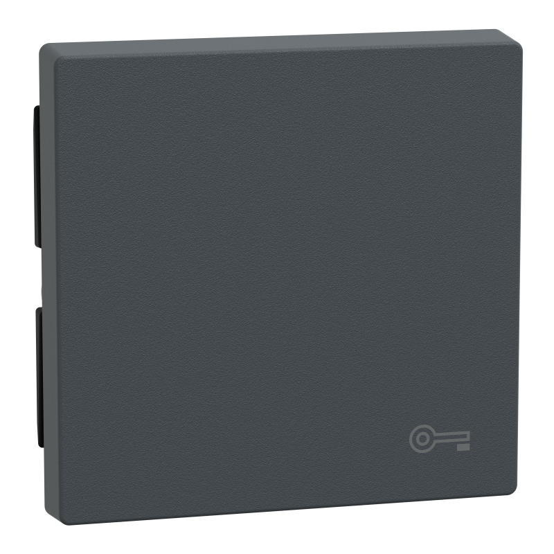 Накладка 1-клавішного вимикача з сим "Ключ" SysM антрацит
