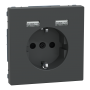 Розетка Schuko з 2 USB 2,4 A Антрацит SD