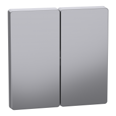 Накладка 2-клавішного вимикача SysD нержавіюча сталь