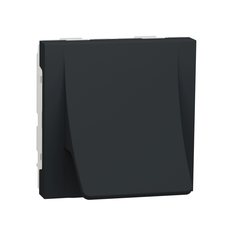 Вивід кабеля 16А 2 модуля антрацит