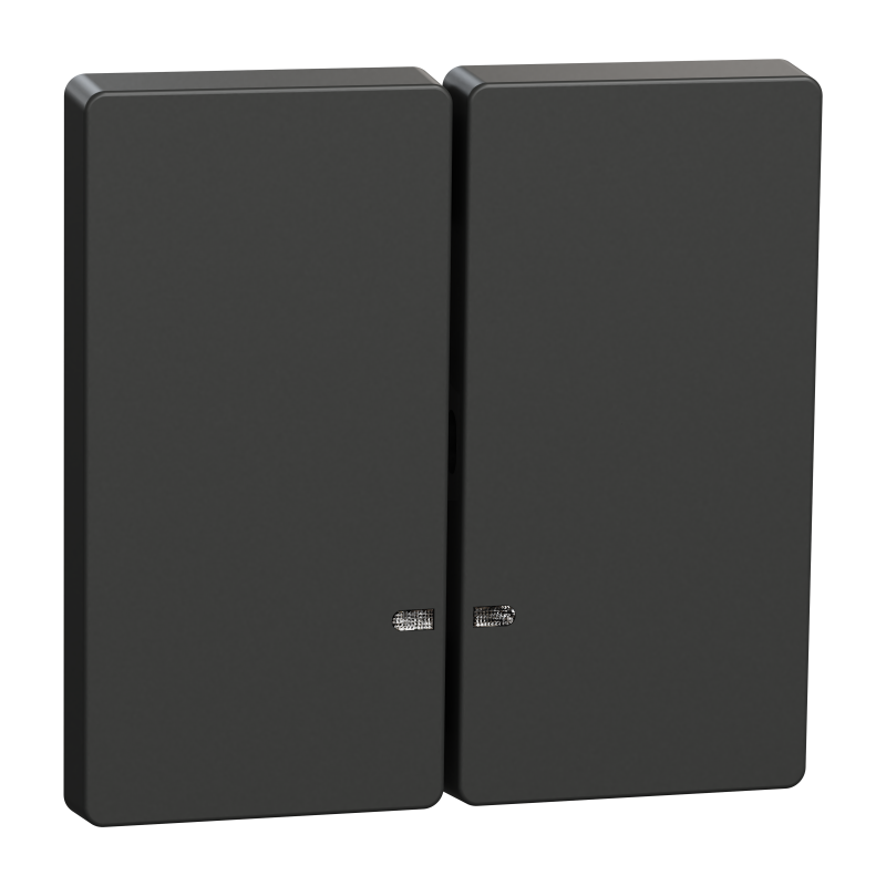 D-Life КЛАВІША 2-на для LED АНТРАЦИТ