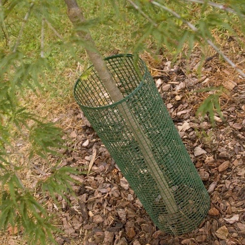 Сетка для заборов и ограждений Tenax QUADRA 10 (Квадра-10) 50x1