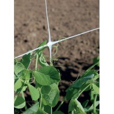 Сітка для овочівництва Tenax Ортінет 7 FG (Hortonova/Hortinet) 1000x1.02