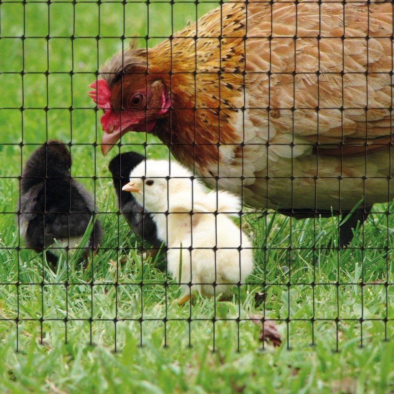 Сетка для ограждения Курятников Tenax AVIARY (Авиари) 200x1